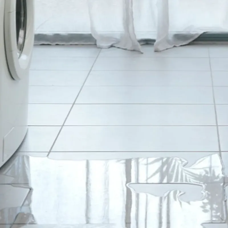 Appliance Leak Cleanup in Dade County, GA