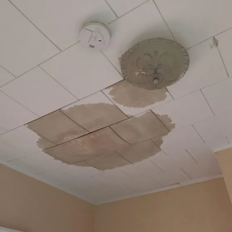 Ceiling Water Damage Repair in Dade County, GA