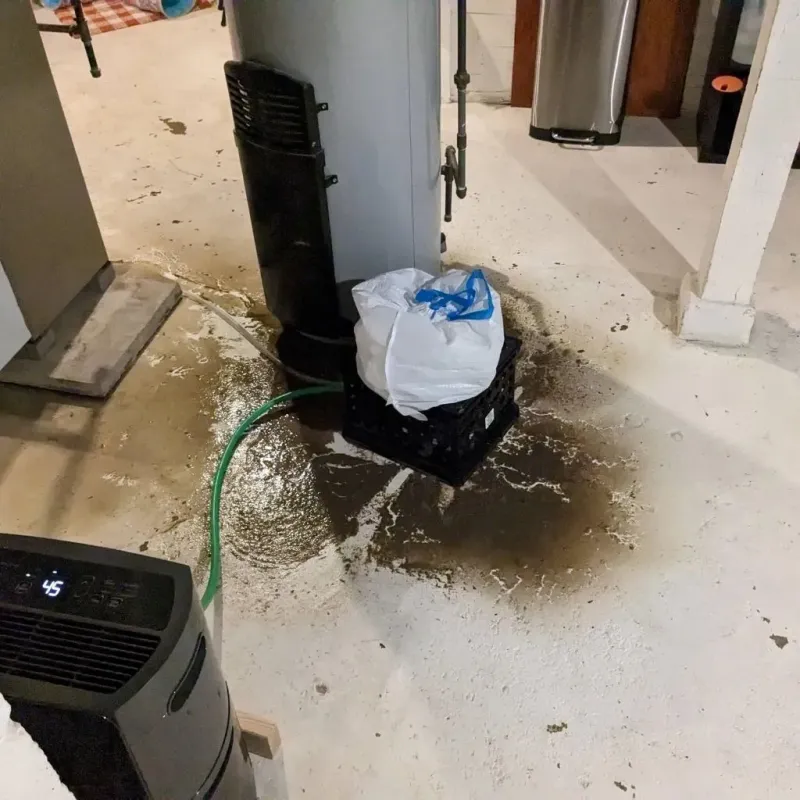 Sewage Backup Cleanup Service in Dade County, GA